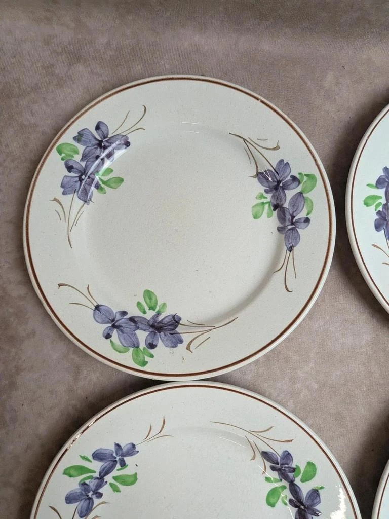 Lot de 9 pratos antigos de terra de fer – Opaque de Bordeaux – decoração floral pintada à mão – photo 4